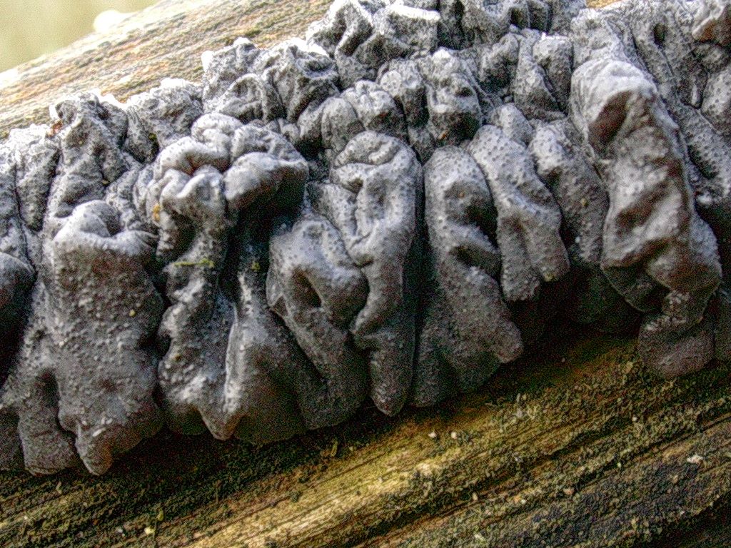 1957 Aprile vecchio ritrovamento